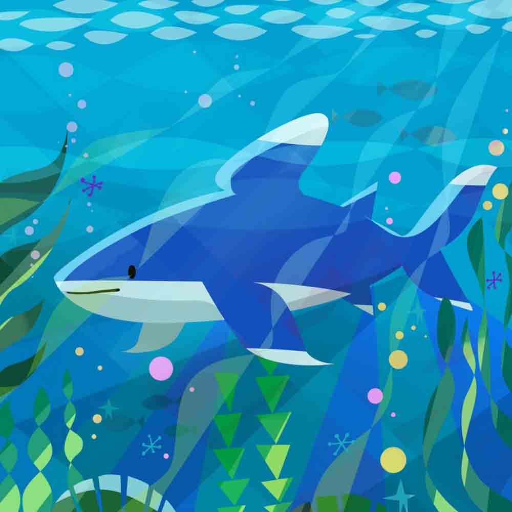 OCEANIC WHITE TIP SHARK
